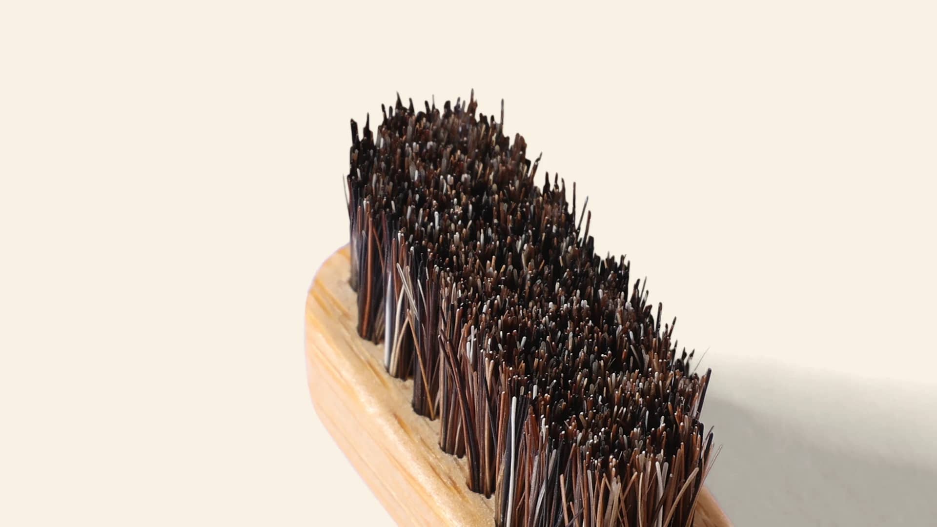 Horse hair bristle tips, edge to edge