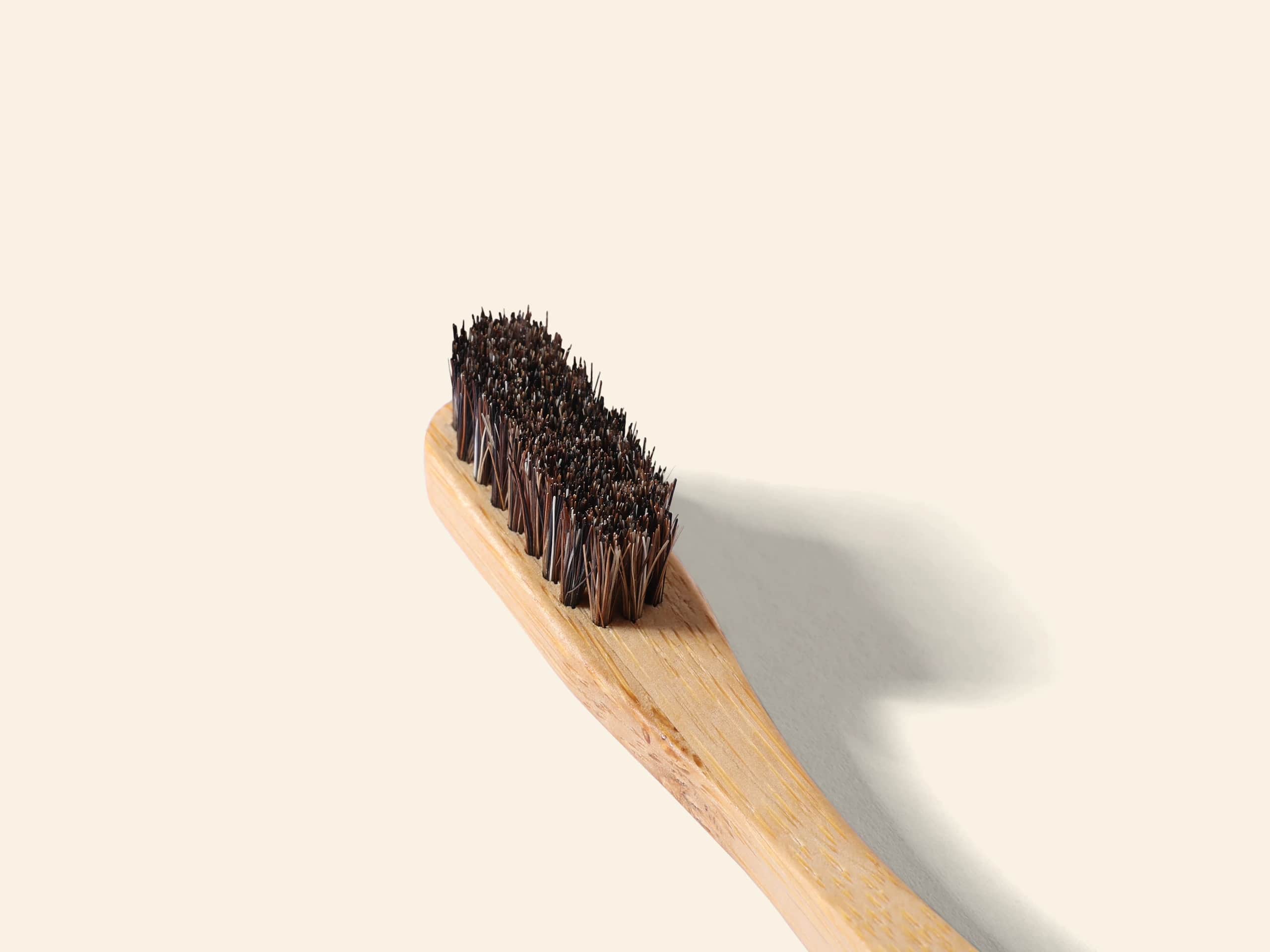 Close-up of the horse hair bristle head of the BARE toothbrush
