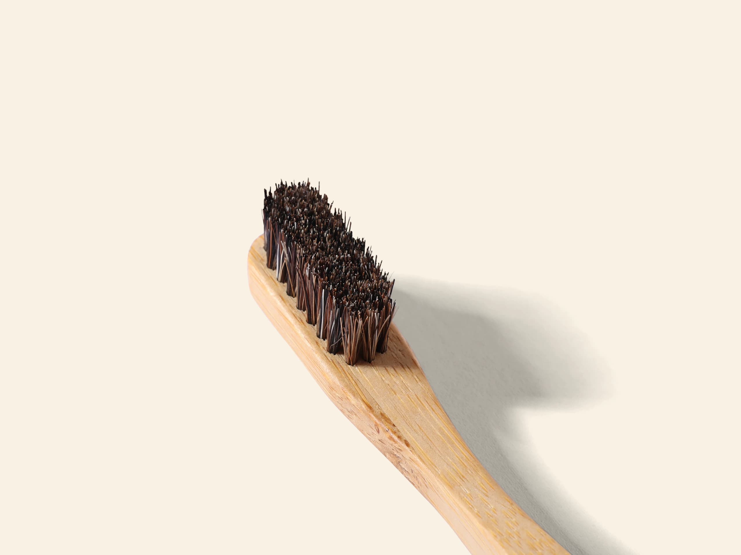 Macro photograph of horse-hair toothbrush bristles, showing the fine natural taper of individual strands and their varied brown tones.