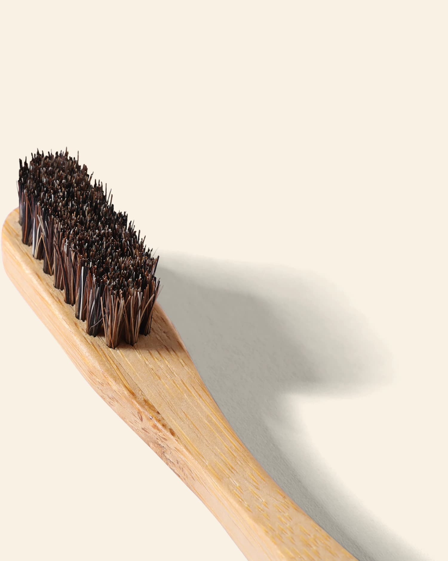 Close-up of dark horse-hair bristles woven directly into the head of a bamboo toothbrush — a bristle bed with no nylon in it.